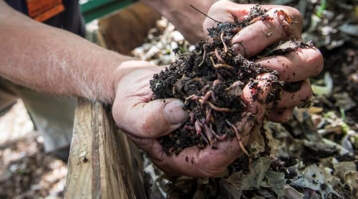 43474998921_e18edbfdce_k-720x400